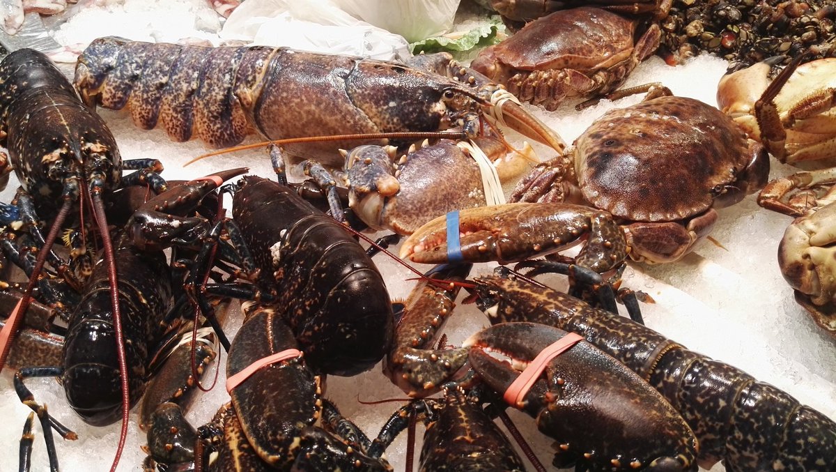 eatnspain's tweet photo. Do you want to pick one?Catch of the day in an artisan village port in #northernspain #fromseatotable #spaintravel https://t.co/GqyV2Z6Yss