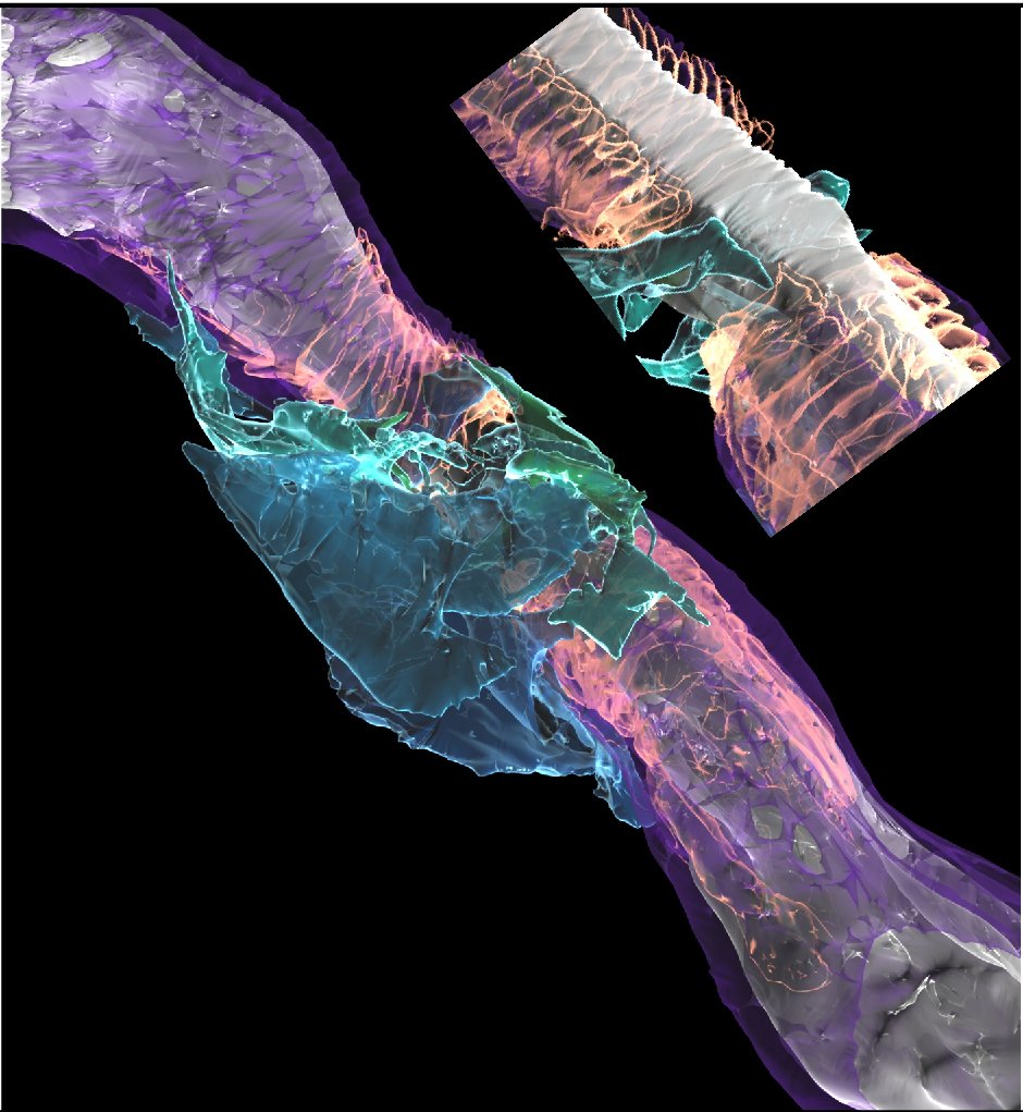 clinical cases in psychocutaneous