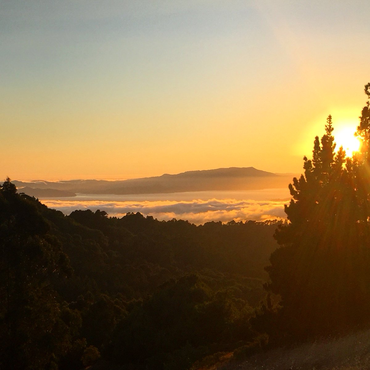 It's almost the weekend and I'm looking forward to seeing this view! #FridayFeeling #getoutside