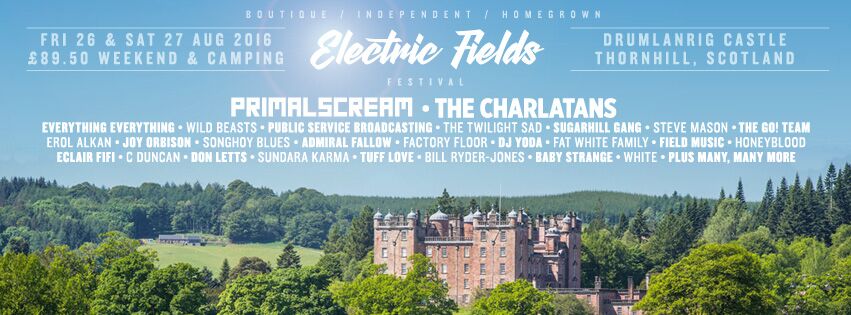 5 artists we're stoked to see at @Electric_Fields 2016. amusicblogyea.com/2016/08/22/5-a…