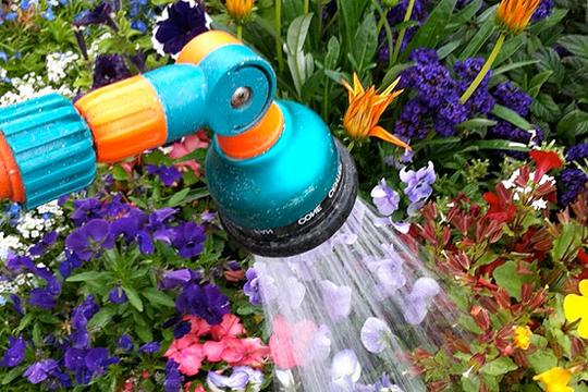 Tips for plant care during heat wave! houselogic.com/by-room/yard-p…