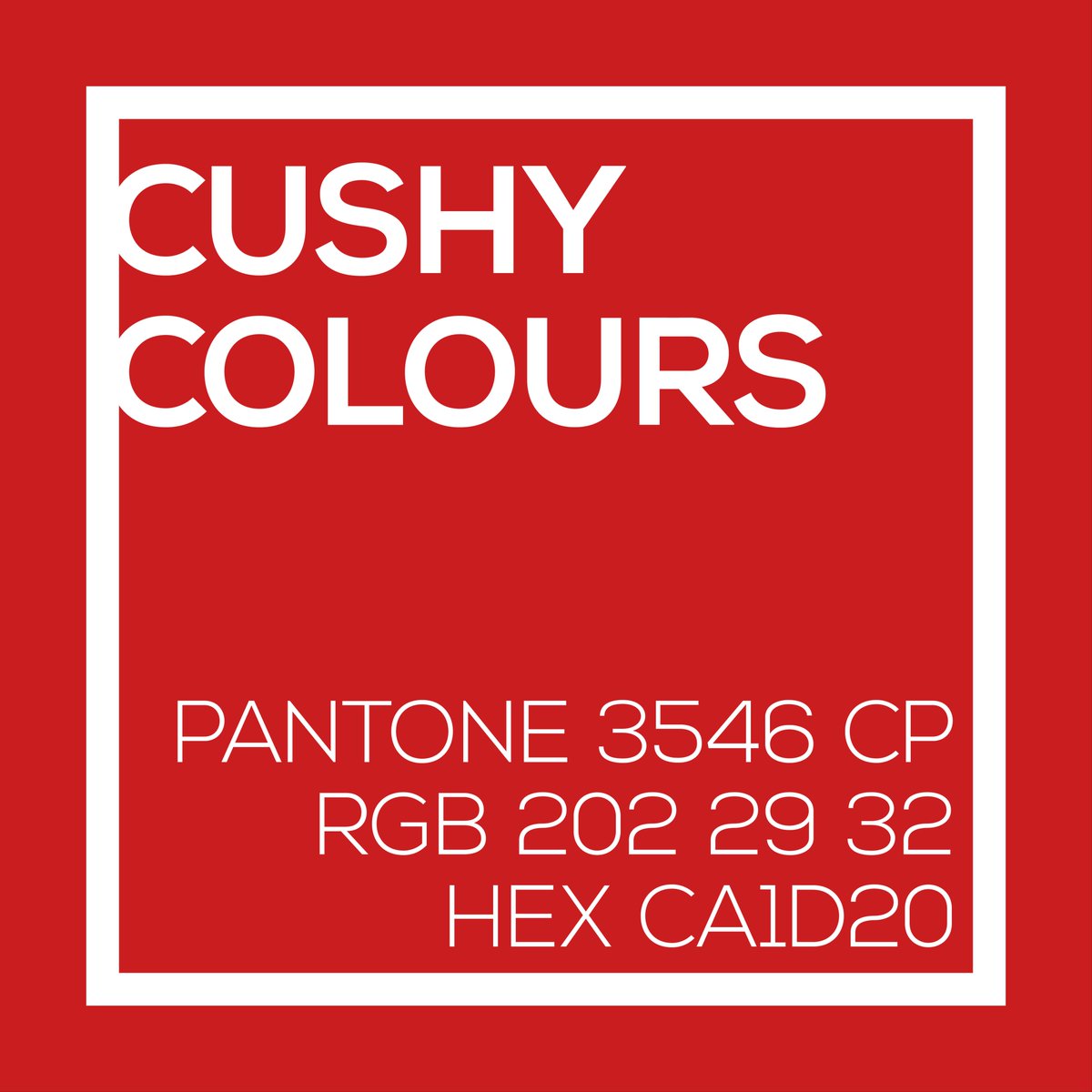 Big, bold and beautiful red, if you want to make a bold statement this is the colour for you! #colourpop #colour