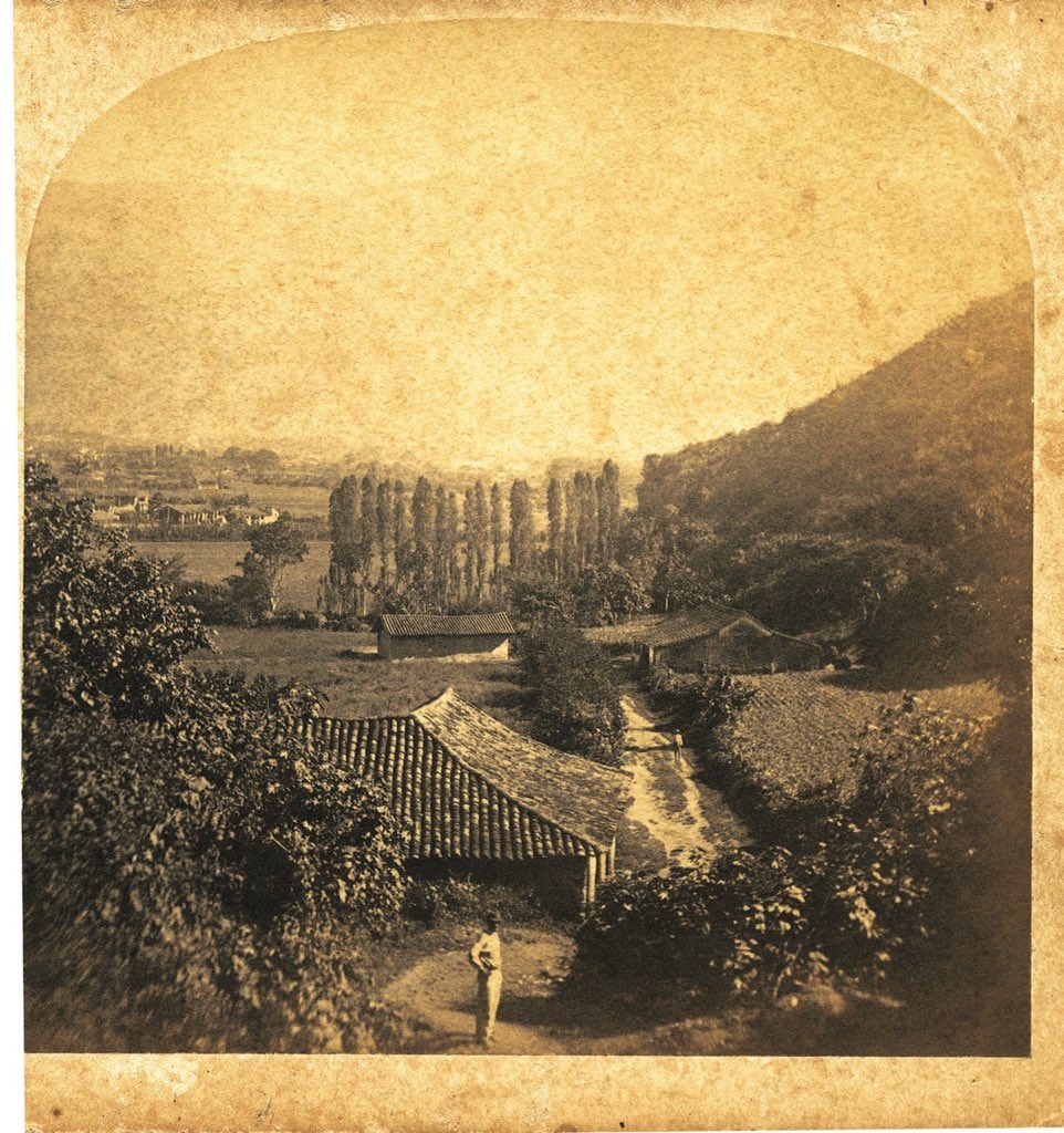 elarchivove's tweet photo. Camino viejo de El Valle | 1857 

• Federico Lessmann • 

#LunesDeLessmann #AutorAFUDelDía #Lessmann #ElValle https://t.co/KOKJRA6Cs5