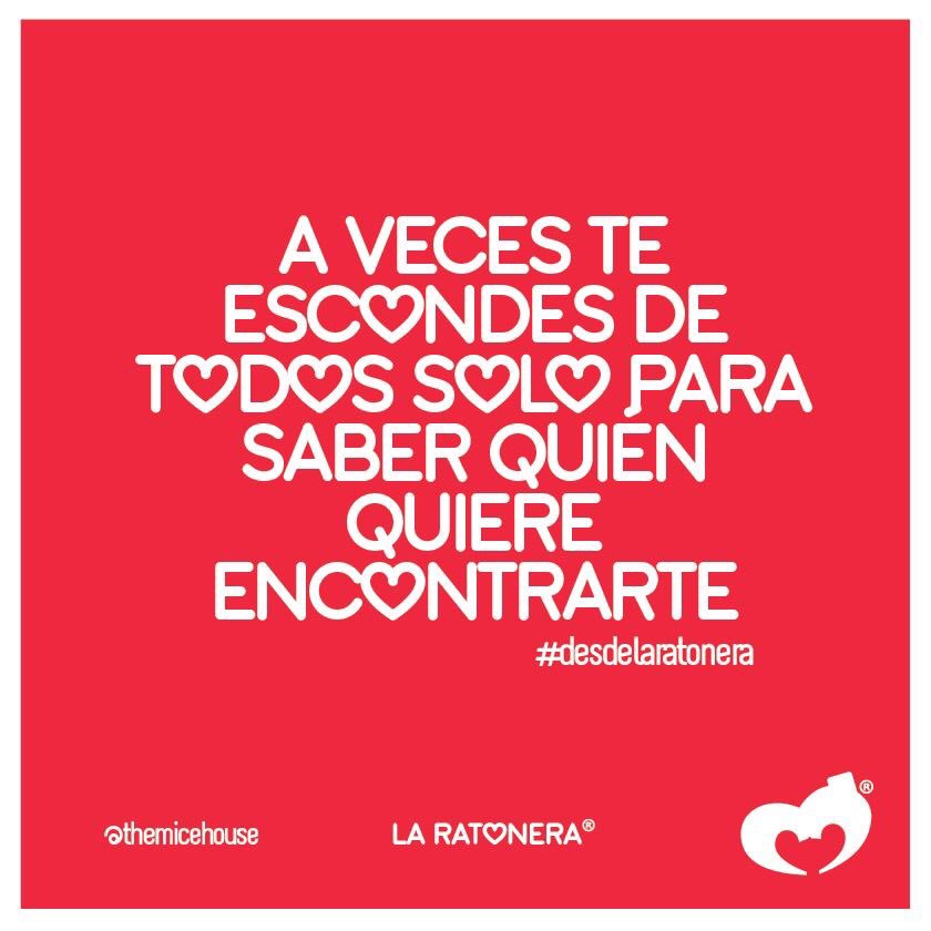 themicehouse's tweet photo. A veces, necesitamos escondernos. #desdelaratonera https://t.co/ohXlYdMG21