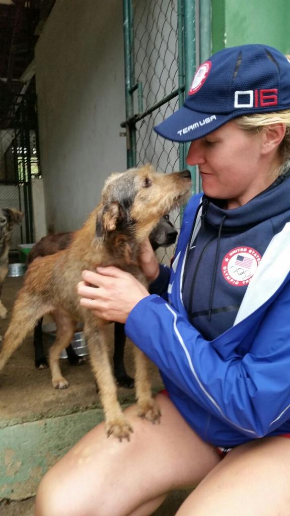 EdavisLogan's tweet photo. This is Phelps looking for a home, rescued from an Olympic venue in Rio and he's up for adoption through @SPCAINT 🐶 https://t.co/f2n7M6olUj