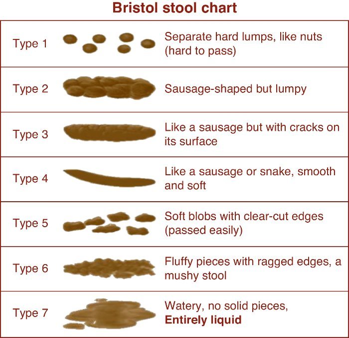 Faeces Bristol Stool Chart