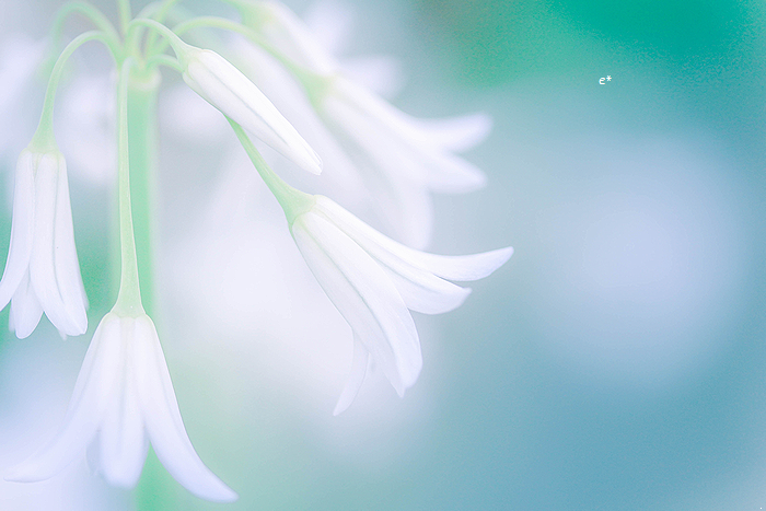 e_co_cam's tweet photo. どんなときも 自分のペースで

#coregraphy https://t.co/N152WIFo29