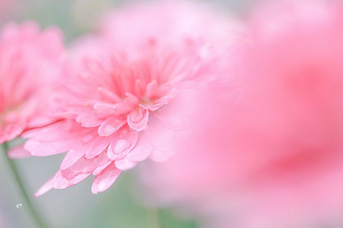 e_co_cam's tweet photo. どんなときも 自分のペースで

#coregraphy https://t.co/N152WIFo29