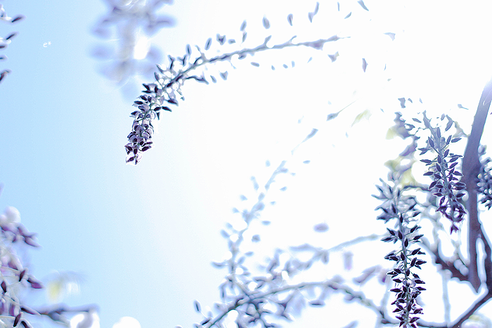 e_co_cam's tweet photo. どんなときも 自分のペースで

#coregraphy https://t.co/N152WIFo29