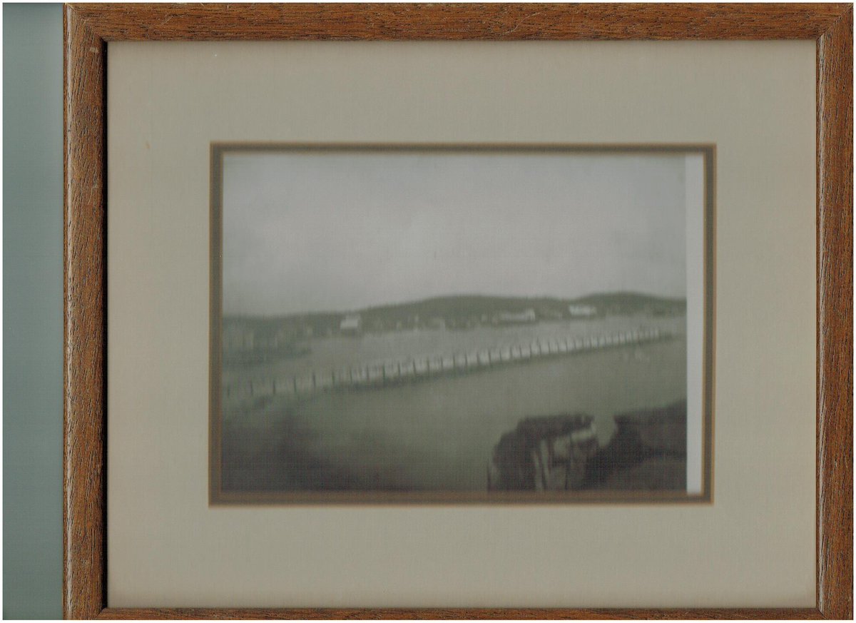 Coastal Discovery Centre tweet media