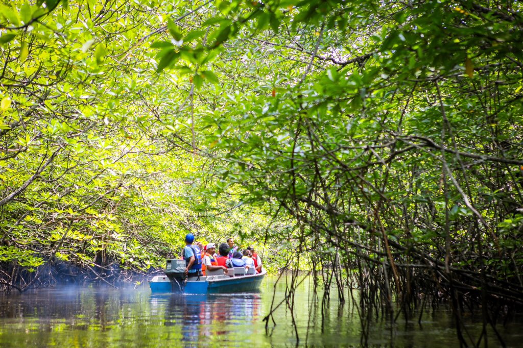 kutujembut's tweet photo. Another adventures to Mangroves jungle of Bintan. #TripOfWonders #WonderfulIndonesia https://t.co/iqJlns4HGH