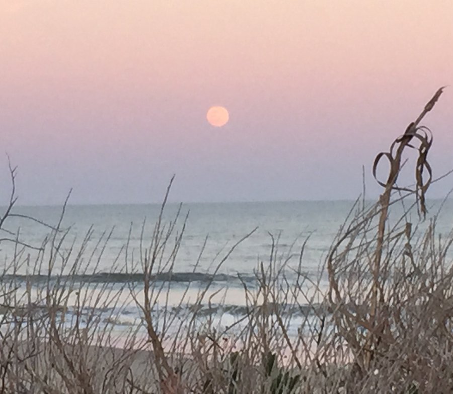 CapeHatterasNPS's tweet photo. Experience the breathtaking #FullMoon as it rises over the Atlantic ocean on Ocracoke. #CapeHatteras #OBX https://t.co/YkvEGWz3wr
