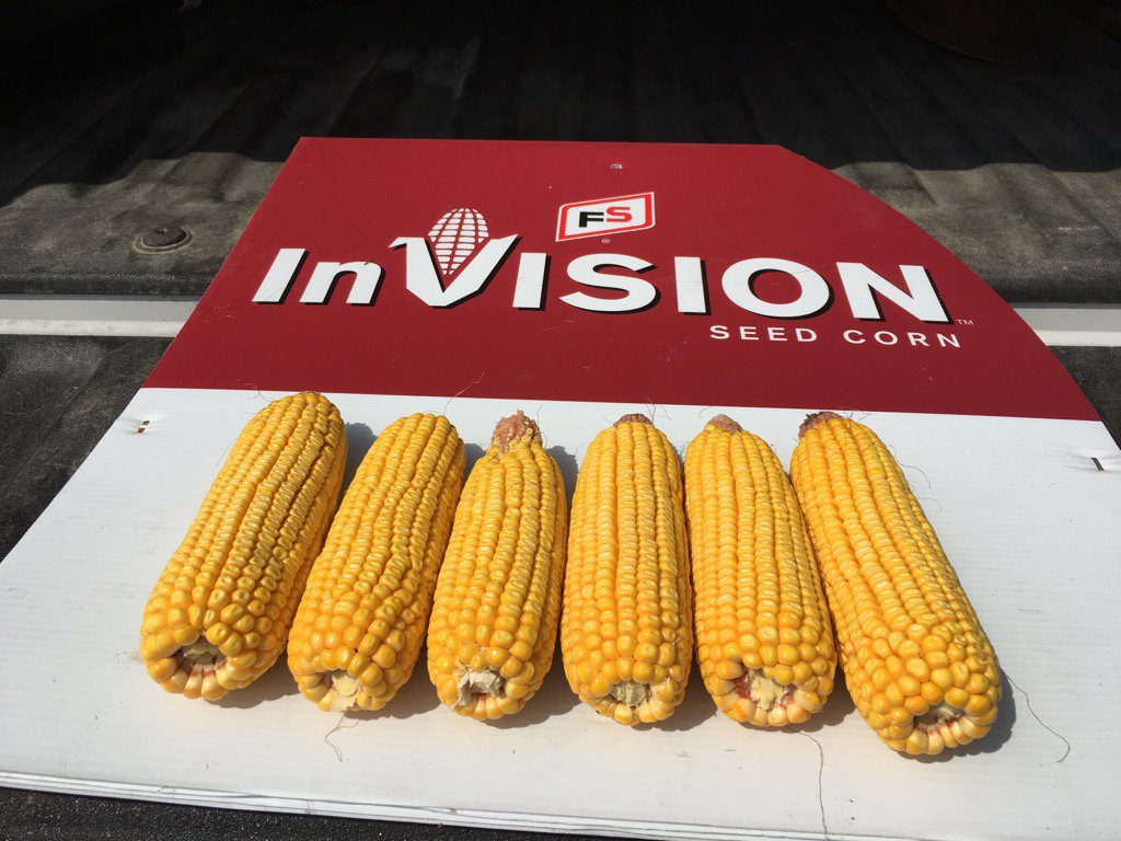 fsa_Tom's tweet image. FS 64SX1 RIB
Yield Check @ 267bpa #2016FSCropTour #yield #PiattFS