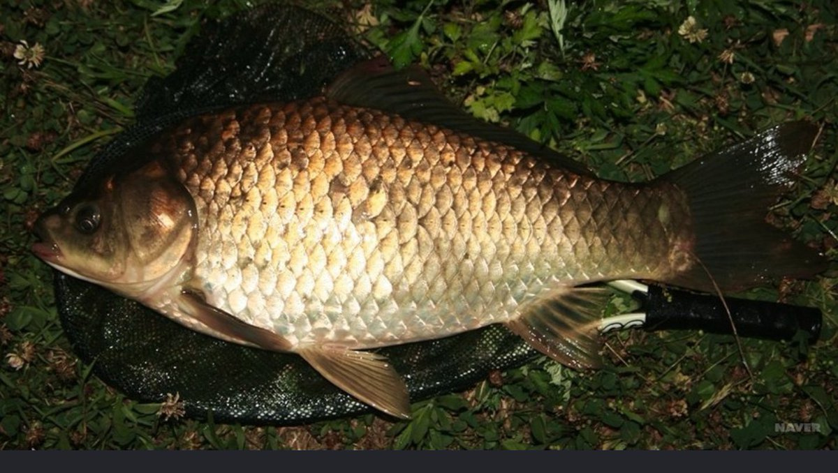 꼬마천사 (@home10591) on Twitter photo 