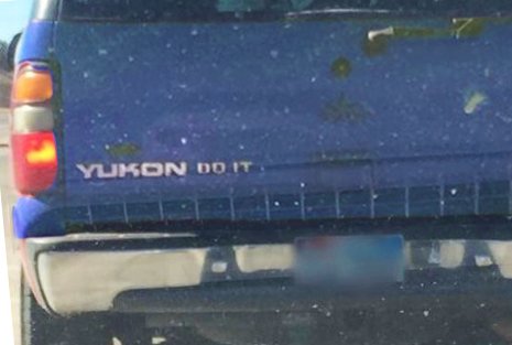 Motivation comes from the strangest places. #mondaymotivation