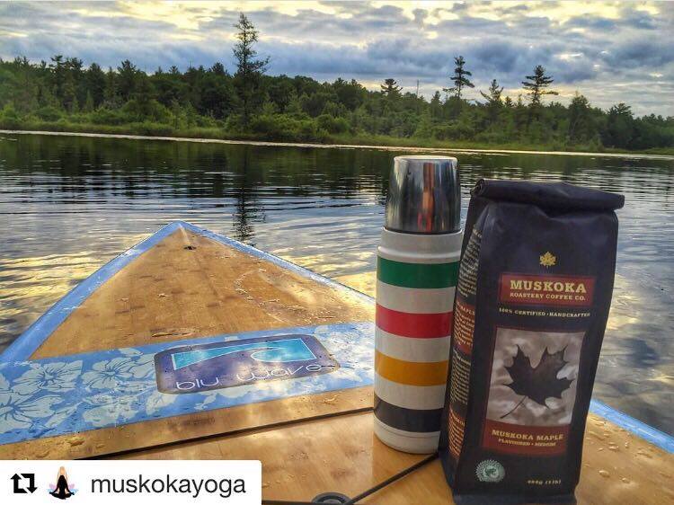 MuskokaRoastery's tweet photo. Love this gorgeous photo from one of @MuskokaYoga's 6am paddles! #MuskokaRoastery #MuskokaMaple #Active #Outdoors https://t.co/6OAxPeDc7f