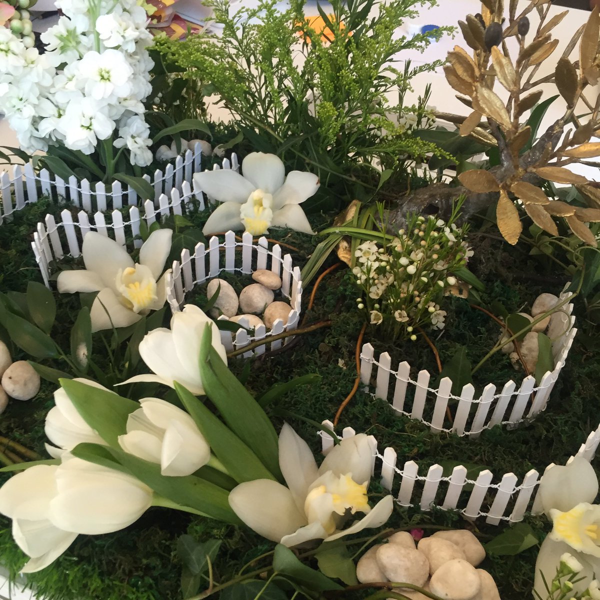 jannahplace1's tweet image. Many thanks to our friends from #mprove and #steroidcafe for this beautiful #gift!