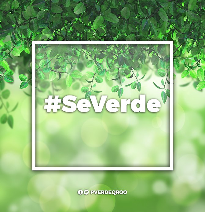 PVerdeQroo's tweet photo. Cuidemos y respetemos nuestro medio ambiente.
#SeVerde https://t.co/7pAlgzFd24