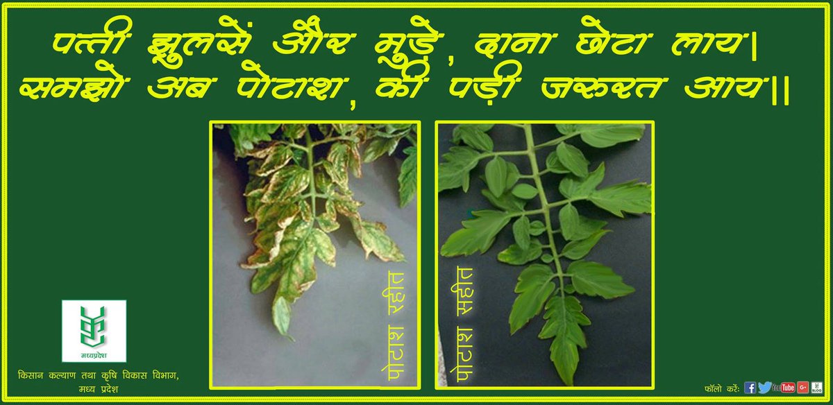 MP KRISHI Dept tweet media
