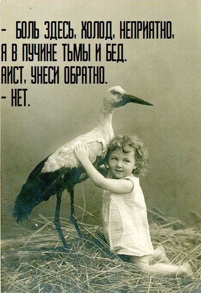 Аист, унеси обратно #родименяобратно