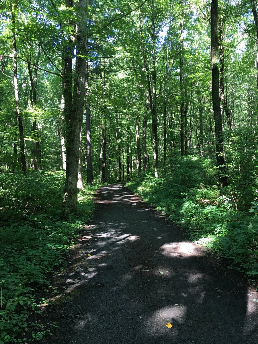 tweetsuzanne67's tweet image. A lovely 2.55 mile #MoveItMonday #morningmove hike for #RunderfulRunners #TeamTrueStart #MilesForMichelle 💕