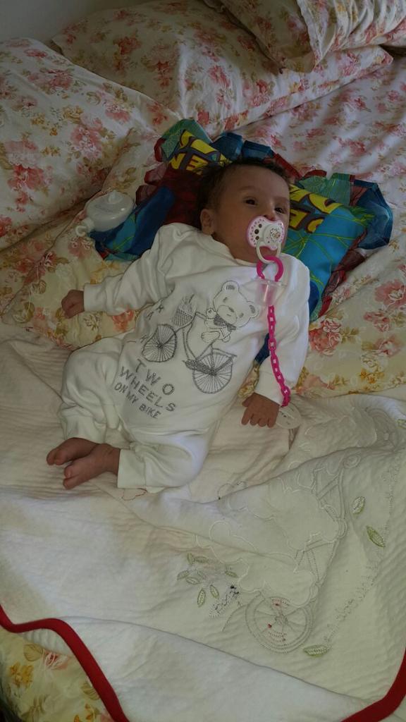 bombooooo1's tweet image. Baby pandaaa🐼