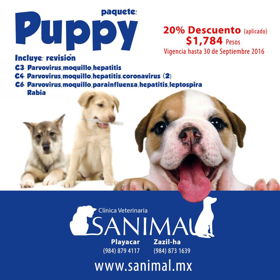 sanimalmx's tweet photo. La salud de tu mascota empieza desde sus primeros días
¡Llama, Reserva, menciona que lo viste en twitter! https://t.co/1jWh8oJgz7