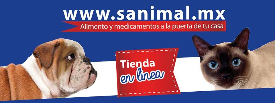 sanimalmx's tweet photo. Conoce nuestros servicios
https://t.co/6wMkhBOrw2
#PlayaDelCarmen https://t.co/tzTQbGf1Qh