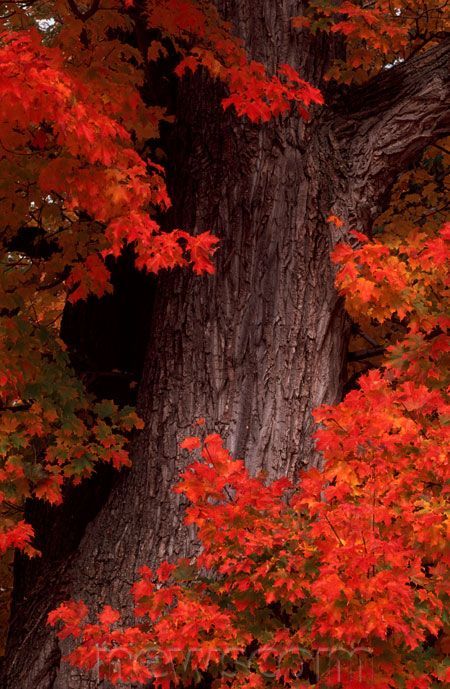 LOURDES GE ® tweet media