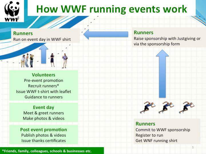 WWFHagueXpat's tweet photo. How #wwf #running #events look like. #CallingAllRunners for 24th Sept. #PeaceRun! @hollandrunner @runnersworldnl https://t.co/uQyFNNhHLd