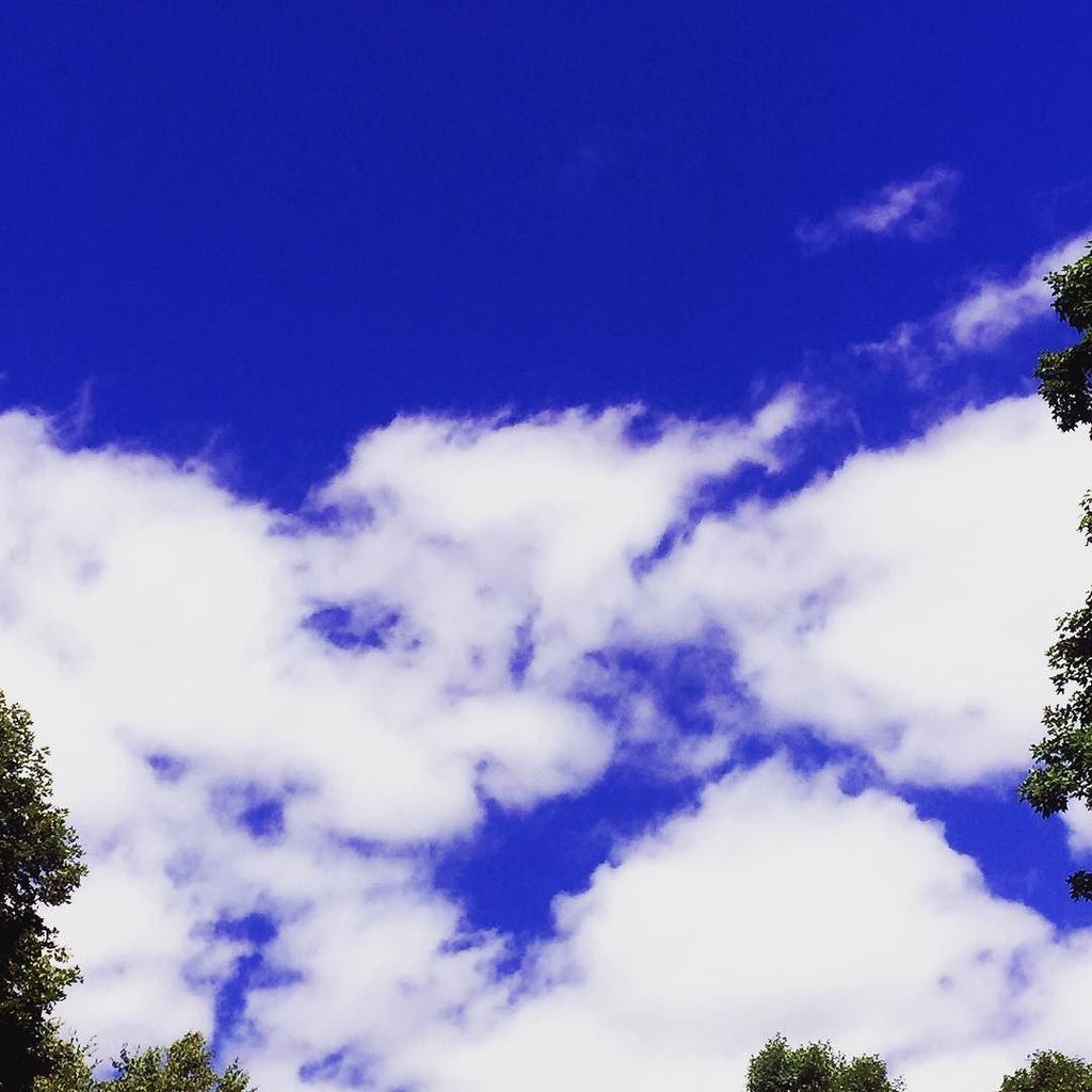 AllegraStein's tweet photo. If your thoughts are the clouds, you are the sky. #thoughtlessspaces #hudsonvalley #lifeco… https://t.co/sJYEJ5O2HU https://t.co/bZQeRPZQaw