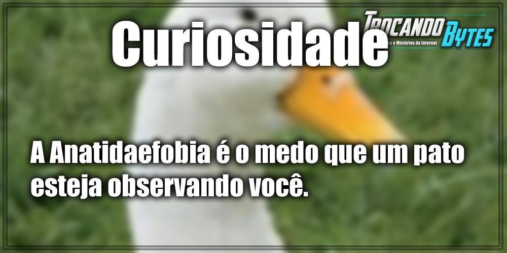 trocando_bytes's tweet image. Dê uma olhada: youtube.com/channel/UCn2MX…