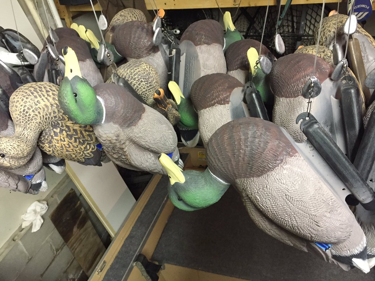 dunnerAD's tweet image. Starting to rig for opener! #Whiterockdecoys #pool7 #eva #waterfowl #mallard #nailedit #bombproof