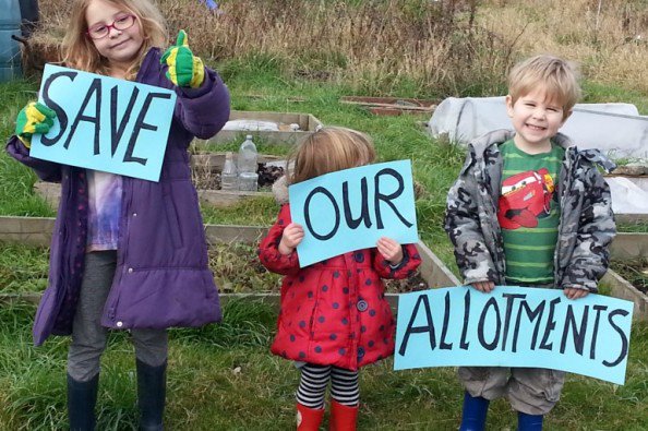 COURT ACTION BEGINS TO SAVE FARM TERRACE ALLOTMENTS