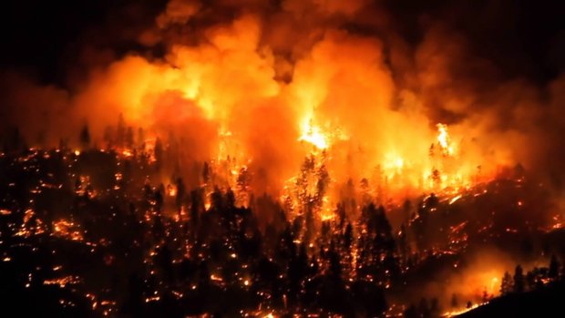 CTVNews's tweet photo. Evacuation order, wildfire alert issued near West Kelowna, B.C. https://t.co/QdE0XQR6SU https://t.co/5MCp2U5Wiq
