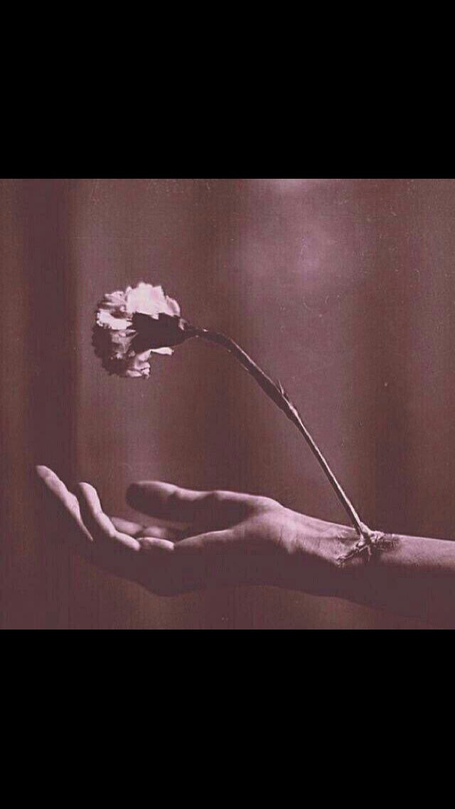 #

الصدق لا تصدق مع الناس يأذيك
والكذب يهدي لك  مـن الورد باقه

-