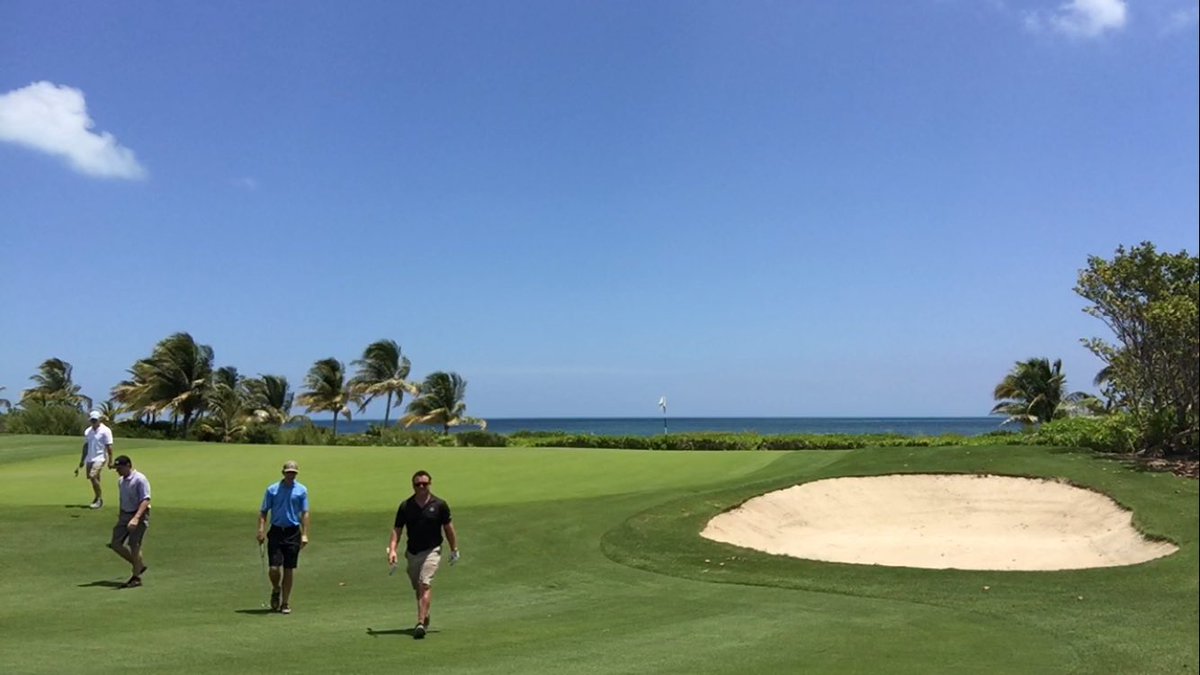 Provisional Sports tweet media