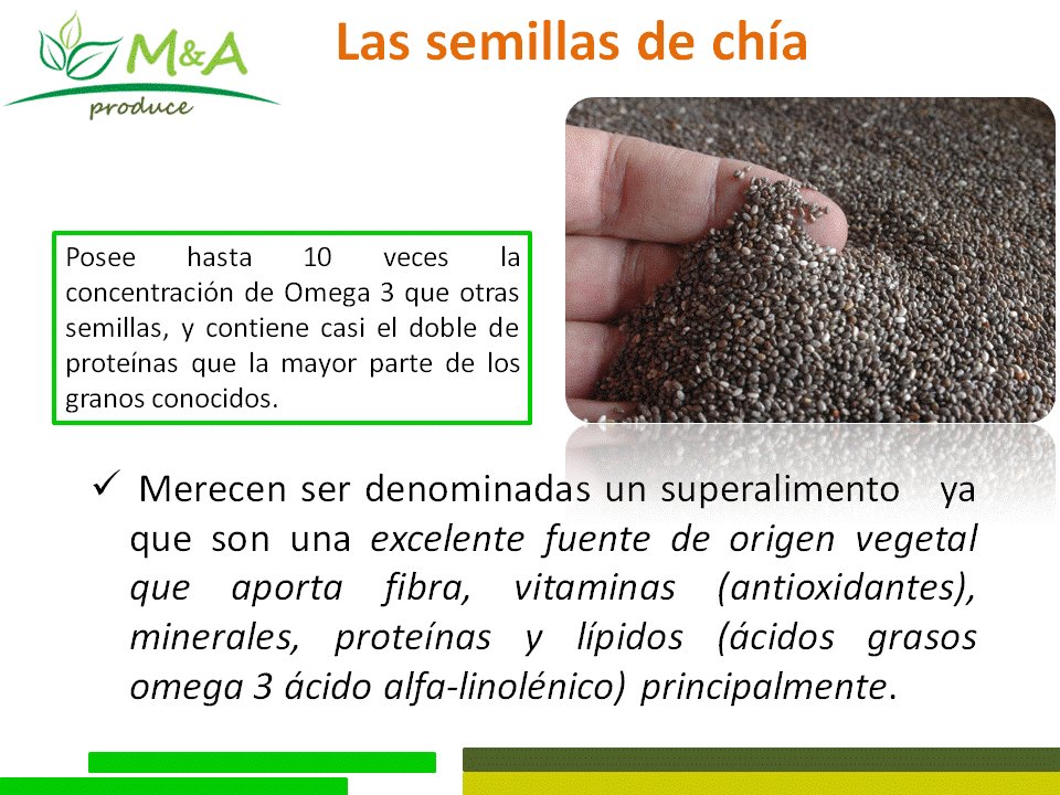 maproducemx's tweet image. El uso y cultivo de la chía en México se remonta a unos 3500 años a.c. en dialecto (nahuatl) la palabra (Chiactic).