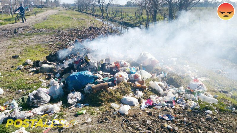 Al Sur Web tweet media