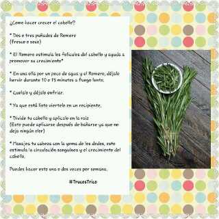 diana_bello743's tweet photo. #HacerCrecerElCabello #Romero #Tips https://t.co/uHiPVQyi1y
