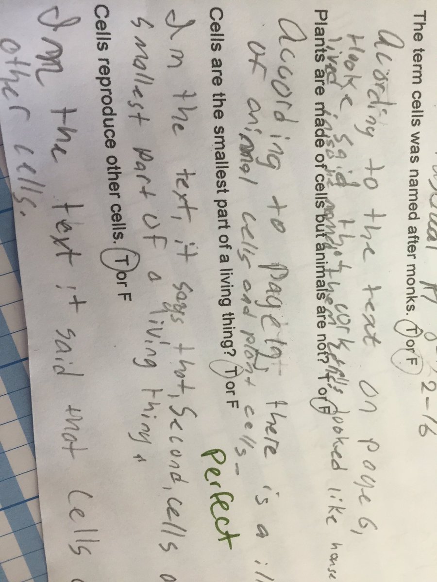 MrsKbackto5's tweet image. My kids are rock stars. Check out this work!  I&apos;m so proud. Citing evidence like experts. @GMASteam