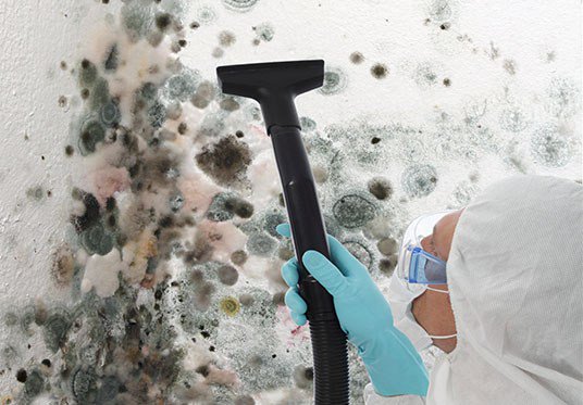 CollierRestore's tweet image. How to Clean Mold! collierrestoration.com/2016/08/22/how…