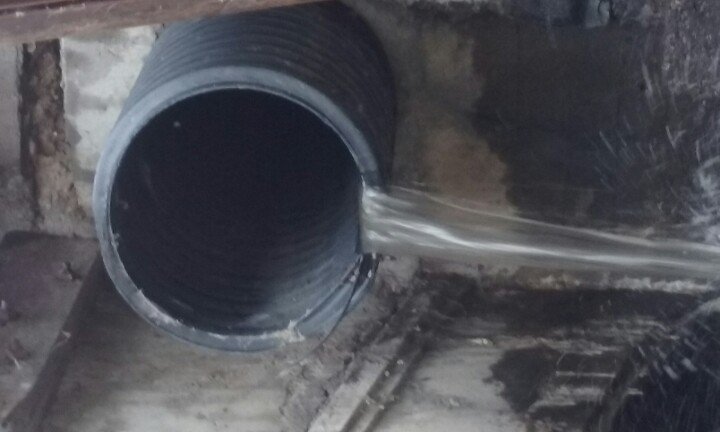 KngsJstr73's tweet image. #Funwithphotography