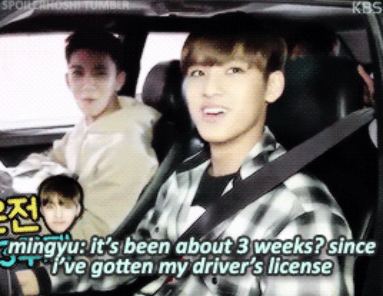 seventeenquotes's tweet photo. mingyu exposed 
cr. spoilerhoshi https://t.co/0PgyTINb0E