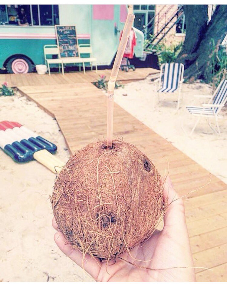 Enjoy a refreshing coconut by the beach in the Glebe!