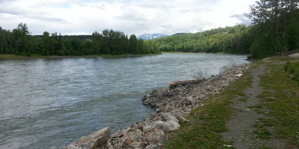 canadianlnga's tweet photo. RT @prgtpipeline: @PSF and #PRGTP help conserve #salmon habitat: https://t.co/Qn8JWkKpiD https://t.co/2i2y708Iua