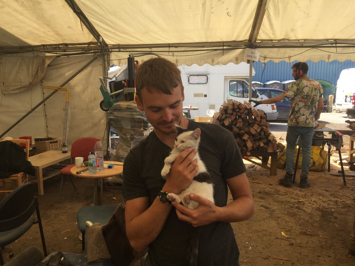 CalaisWoodyard's tweet photo. We're going to adopt this little rat ... Can't keep it out of the woodyard #calaiswoodyard #kitten #cute #gotwood https://t.co/wOKWcJd9U4