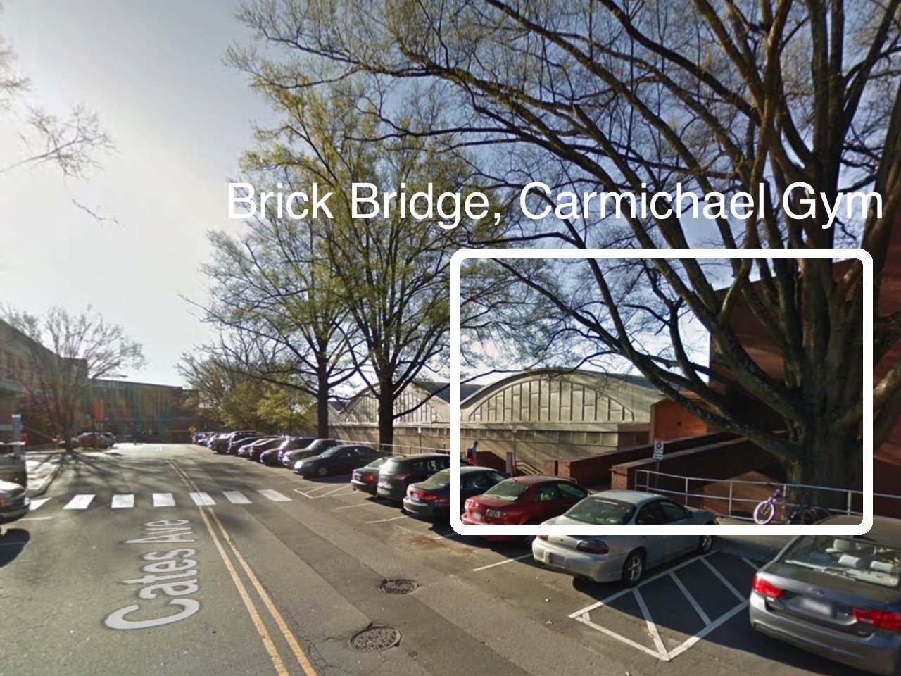 Rowing Club at NCSU on Twitter "Want to learn about rowing at 