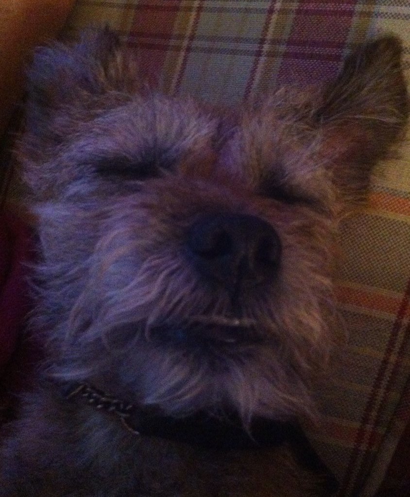 borders6's tweet image. Nite nite 💤💤