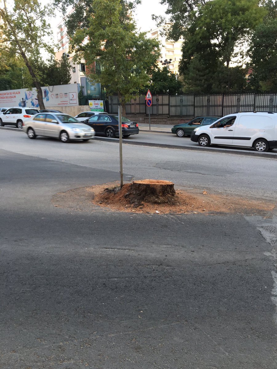 Bu gerçekten çok üzücü olmuş.
